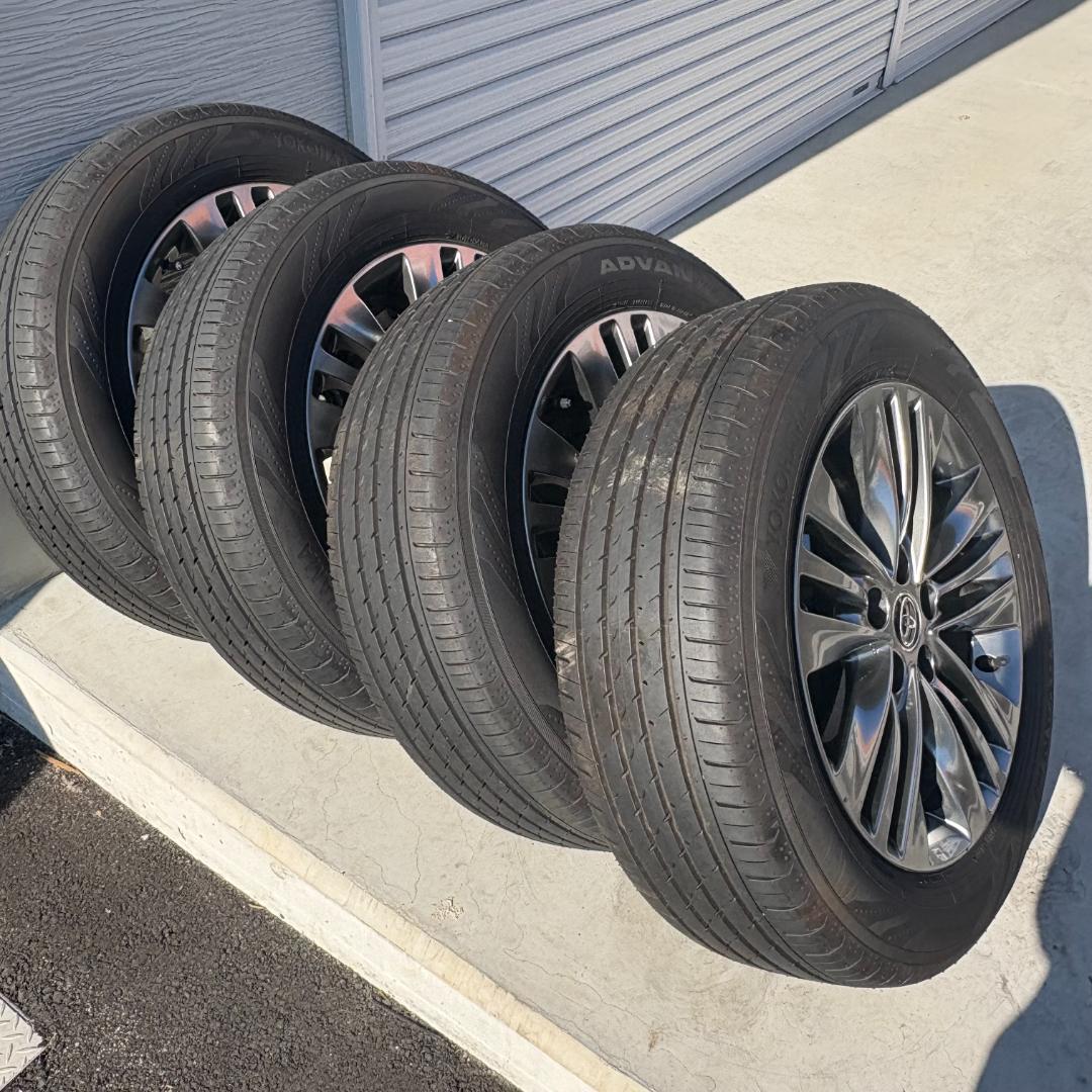 山田　バリバリ