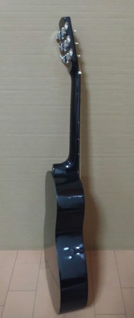 アコースティックミニギター LumberL100MNA ケース他付属品５点