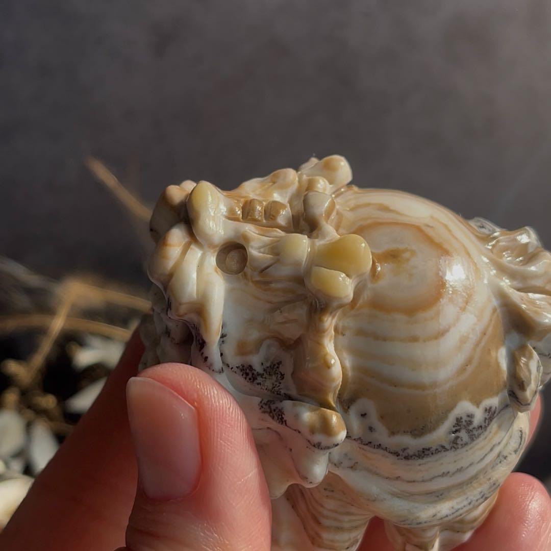 デンドリ カルサイト ロングイ 龍亀