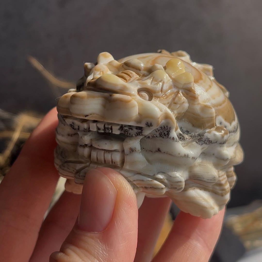 デンドリ カルサイト ロングイ 龍亀