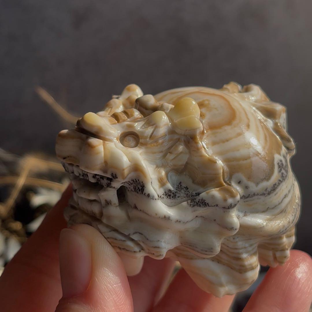 デンドリ カルサイト ロングイ 龍亀