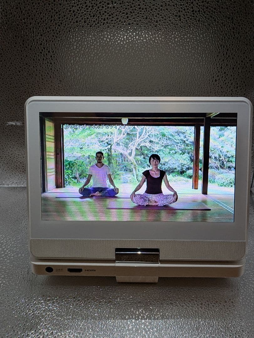 TOSHIBA ポータブルブルーレイディスクプレーヤー SD-BP900S