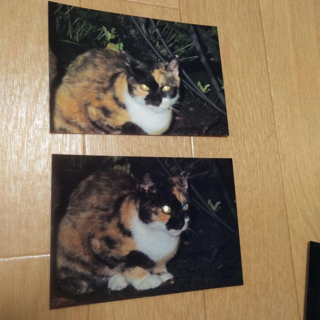 確認画面【幸運】岩手県　緑風荘　写真11枚セット