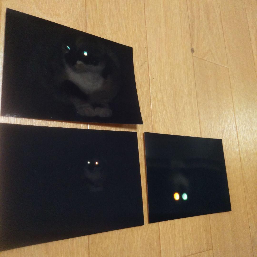 確認画面【幸運】岩手県　緑風荘　写真11枚セット