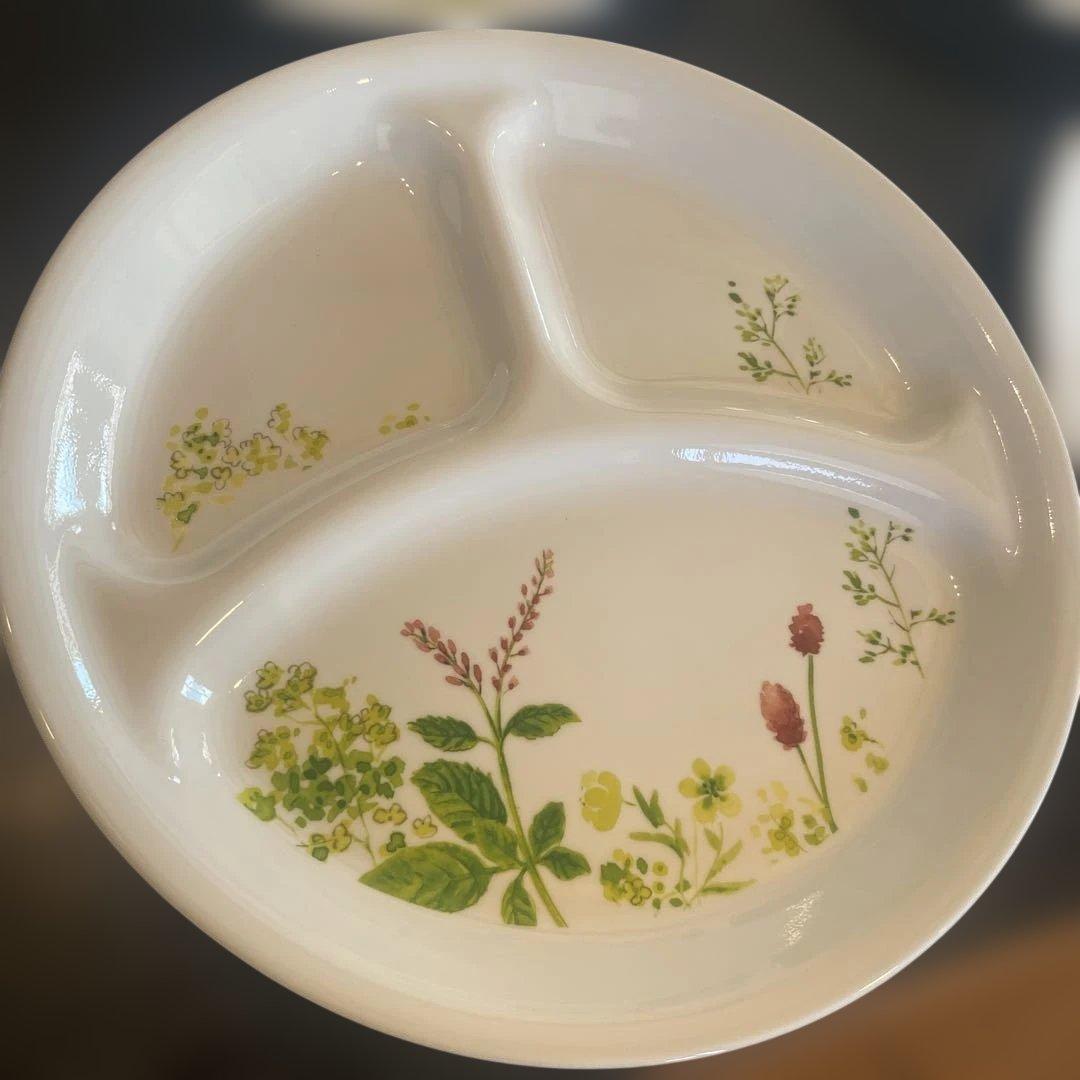 CORELLE コレール プロヴァンスガーデン 26㎝ 4枚セット　ワンプレート