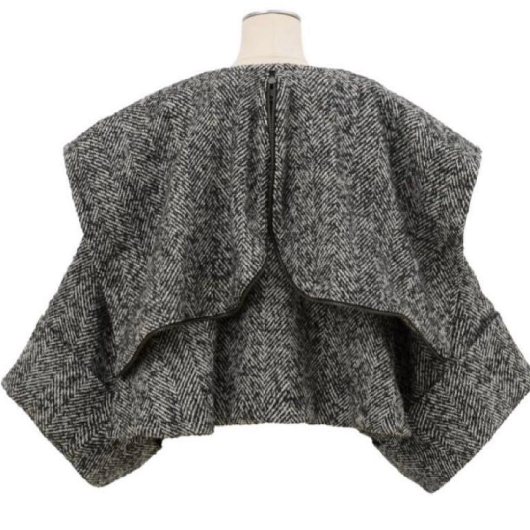 【限定値下げ】美品cygne シーニュビックカラーショートコート