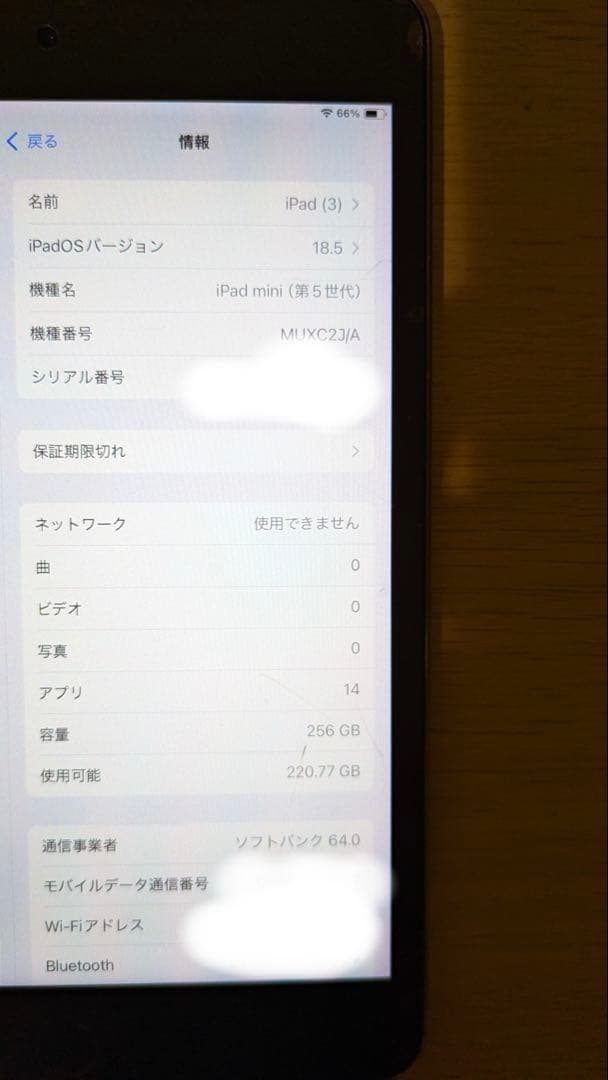 iPad mini 第5世代 256GB（Cellularモデル）SIMフリー