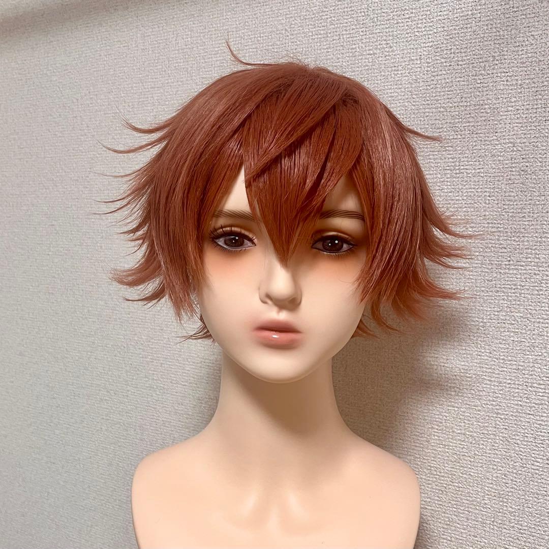 【即納】ツイステ エース・トラッポラ ウィッグ