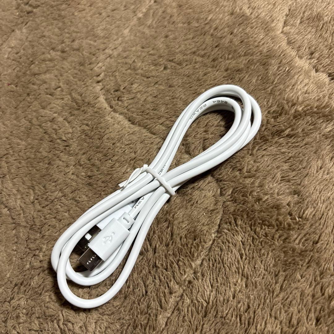 美品 SALONIA EMS LIFT BRUSH 美顔器