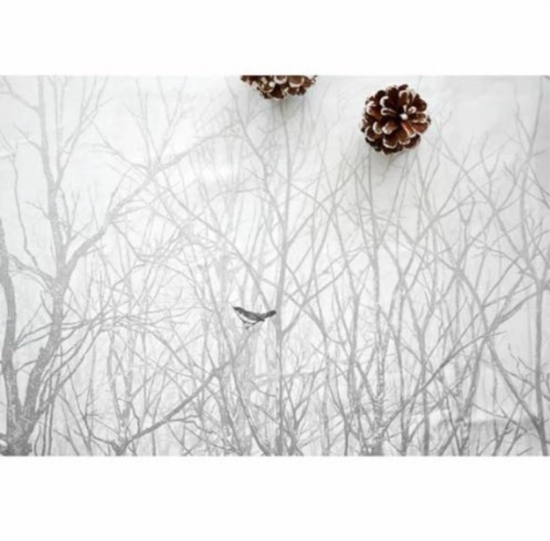 アレクサンドルチュルポー テーブルクロス　150 x 150cm 廃盤品　レア品