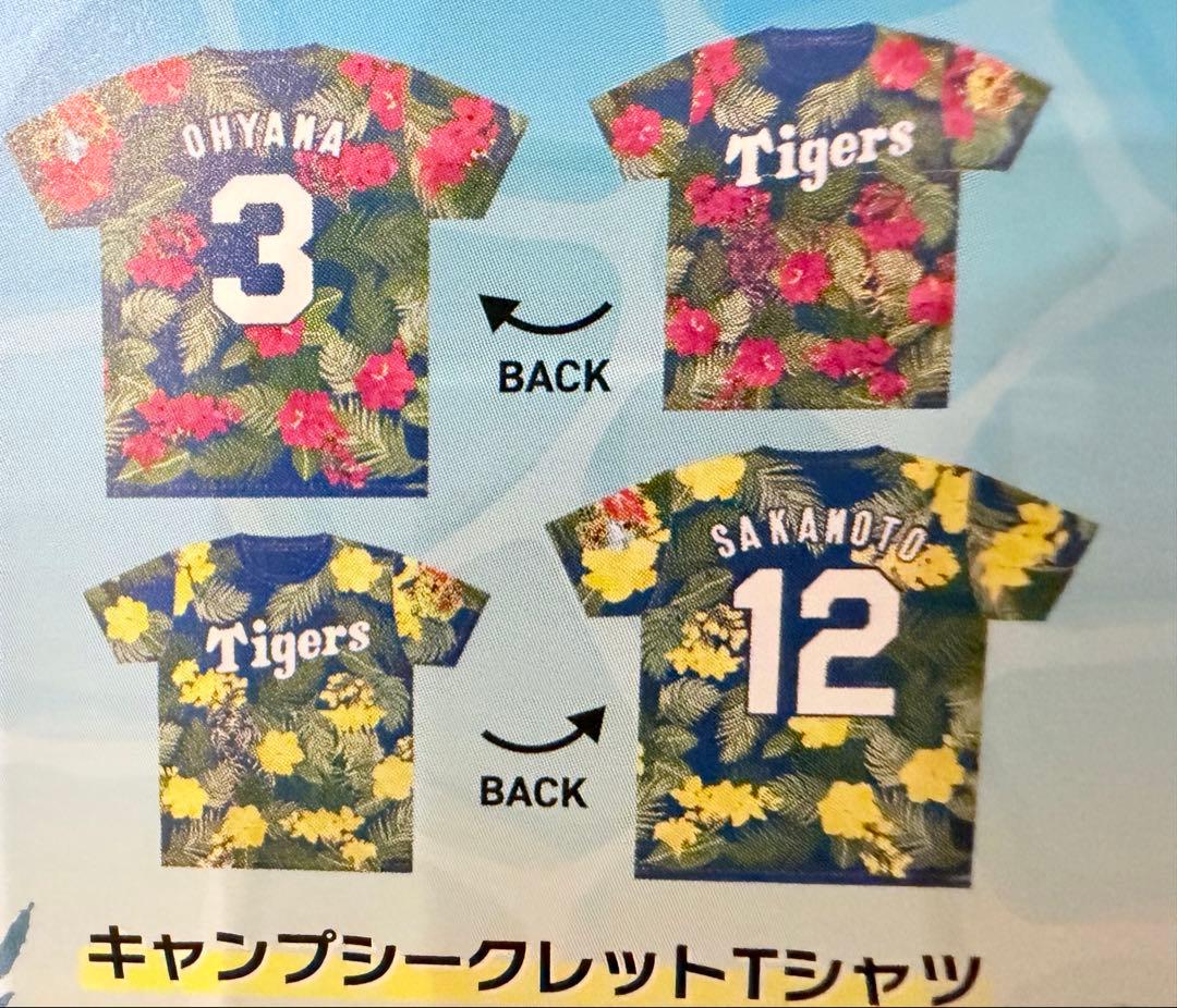 近本　阪神タイガース　春季キャンプ2026