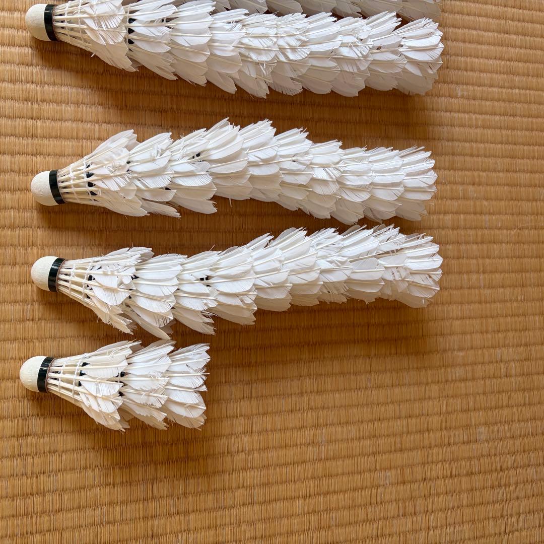 バドミントンシャトル100球