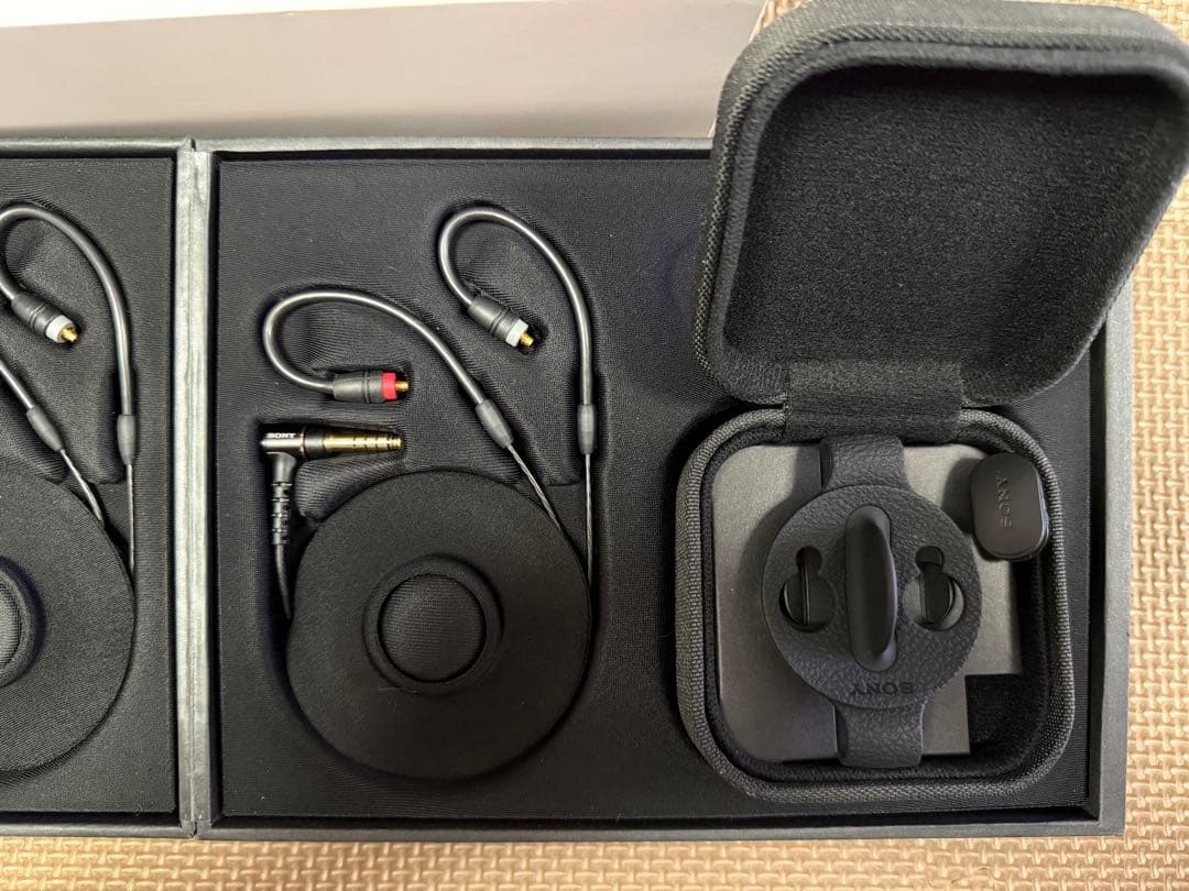 イヤホン SONY IER-M7