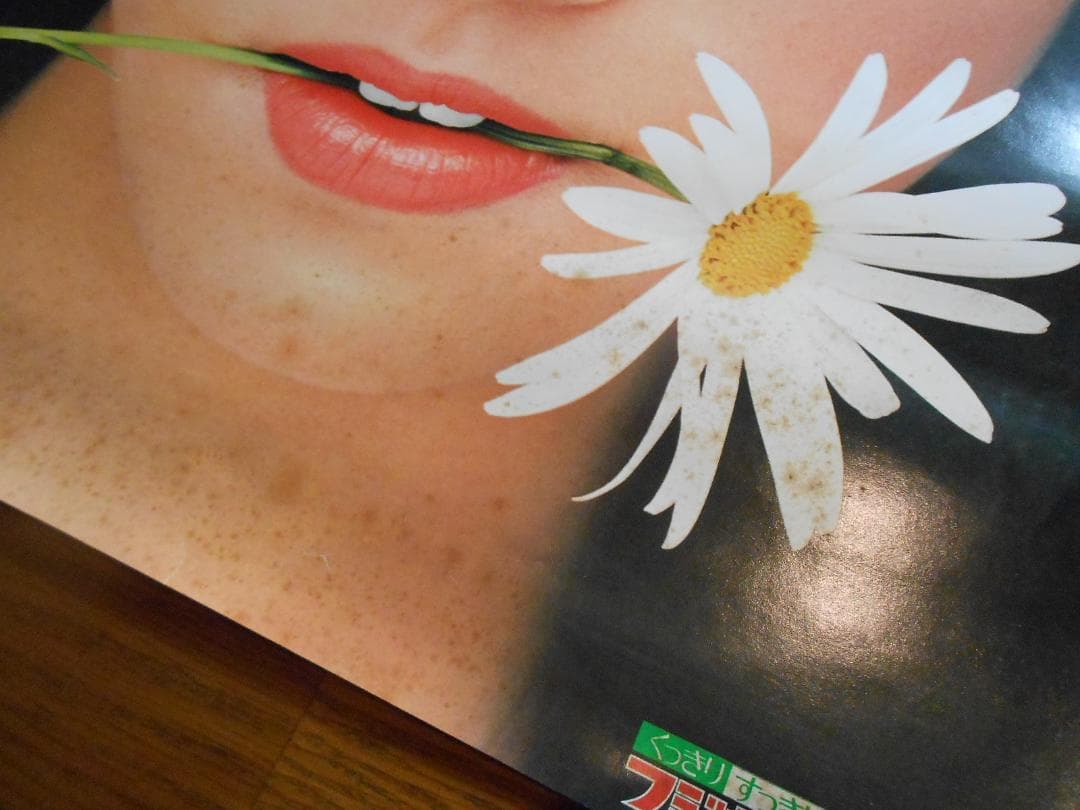 フジカラー写真額「ユルブリンナーさんパネル」＆岡田奈々さんポスター他　昭和