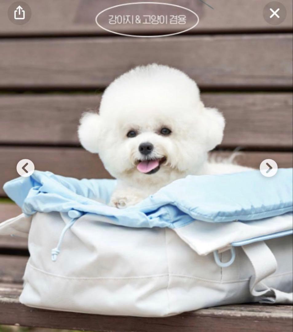 美品　arr ハグキャリーバッグ