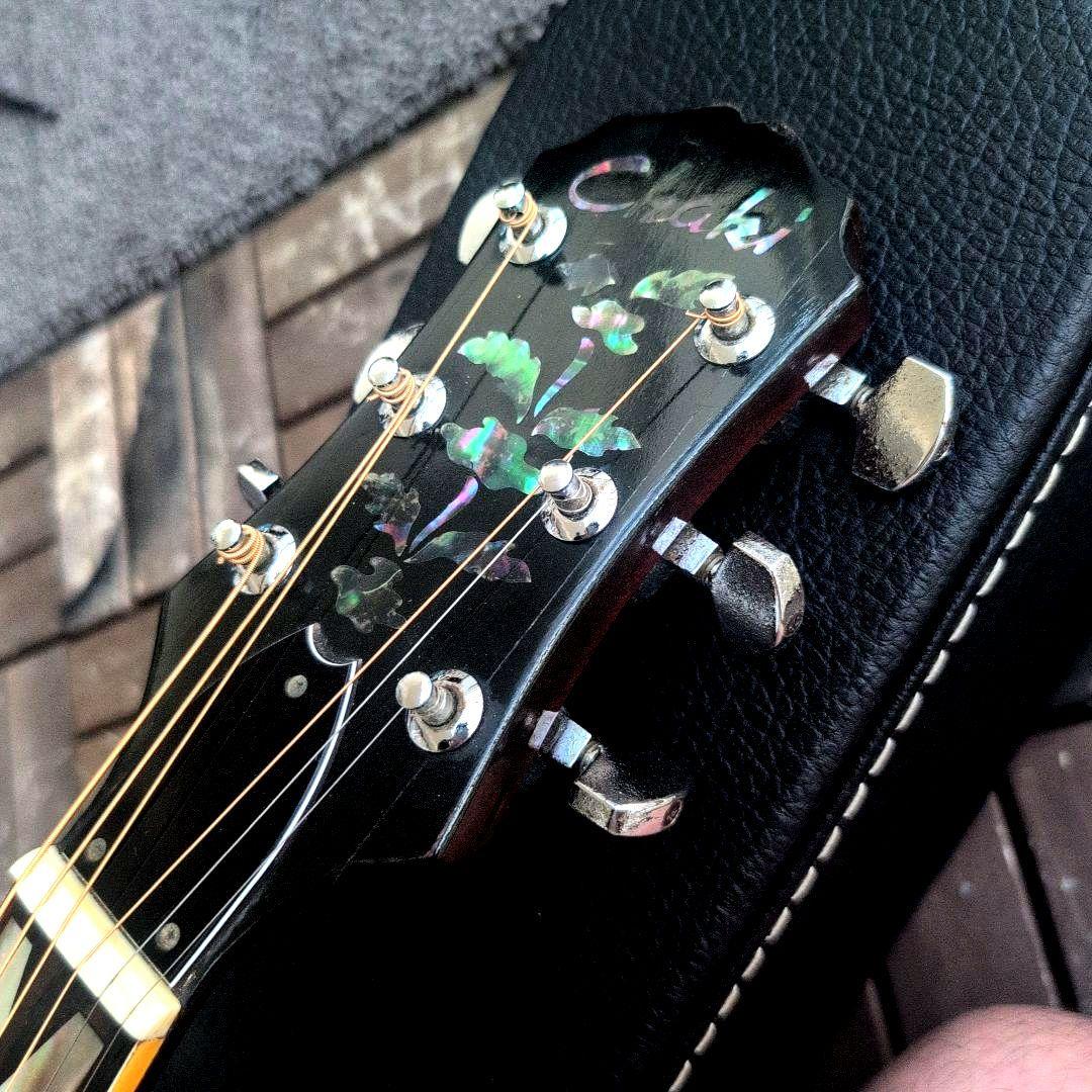 Chaki Wー3F 色々難ありのドレッドノートです。