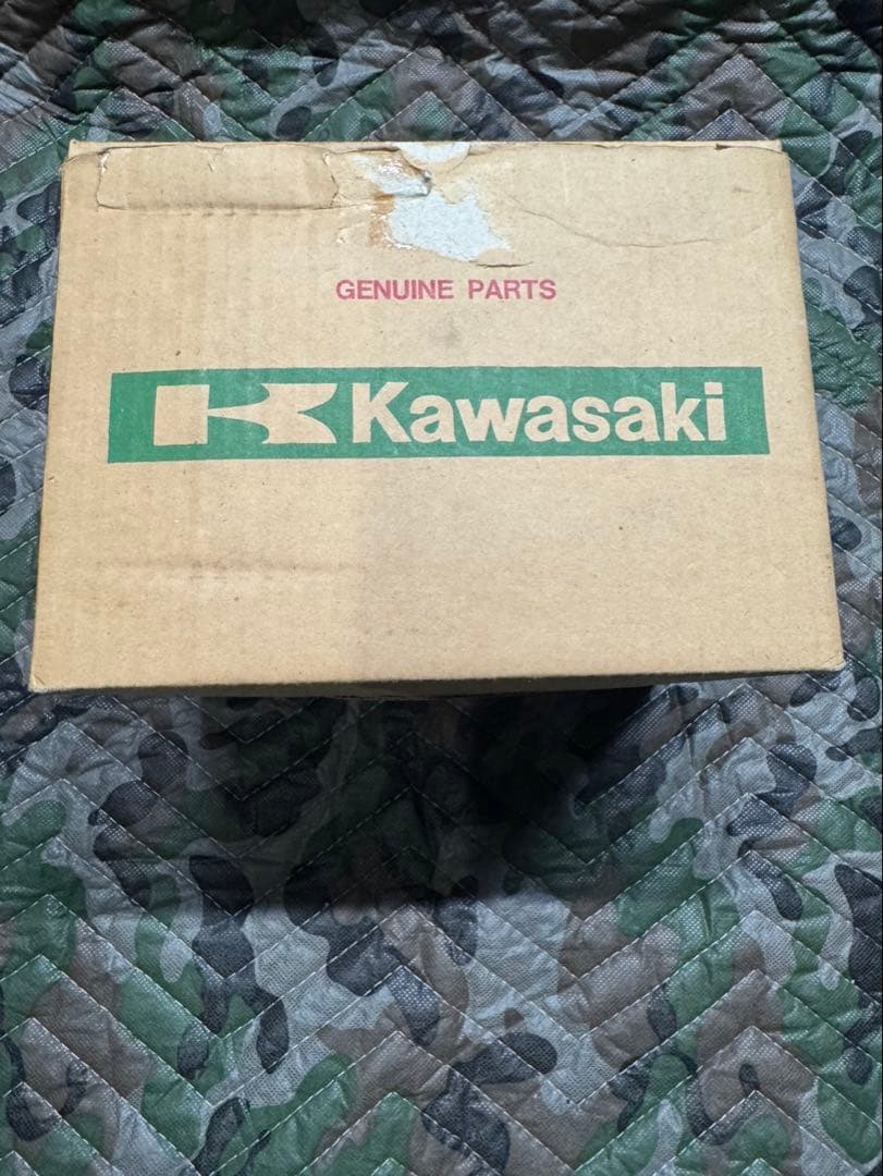 GPZ900R ヘッドライト