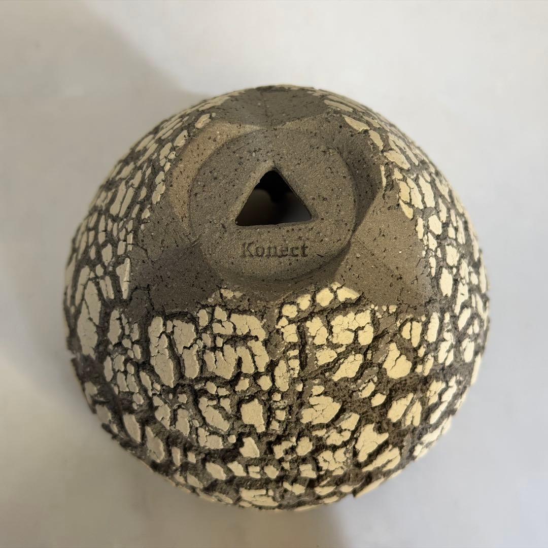 konect コネクト fang ファング 鉢