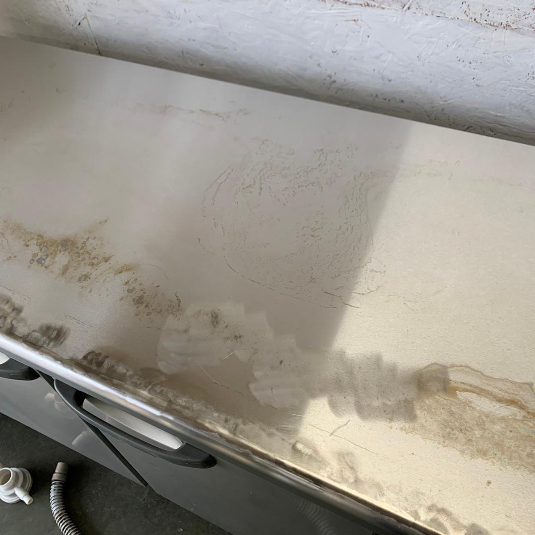 ホシザキ テーブル型恒温高湿庫 CT-180SNF-ML 2015年製 発送可能