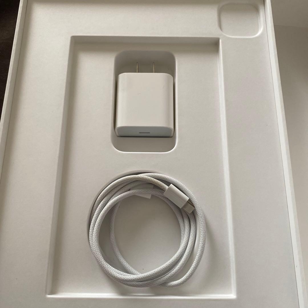 Apple iPad Pro 11インチ　本体　256GB ナイ