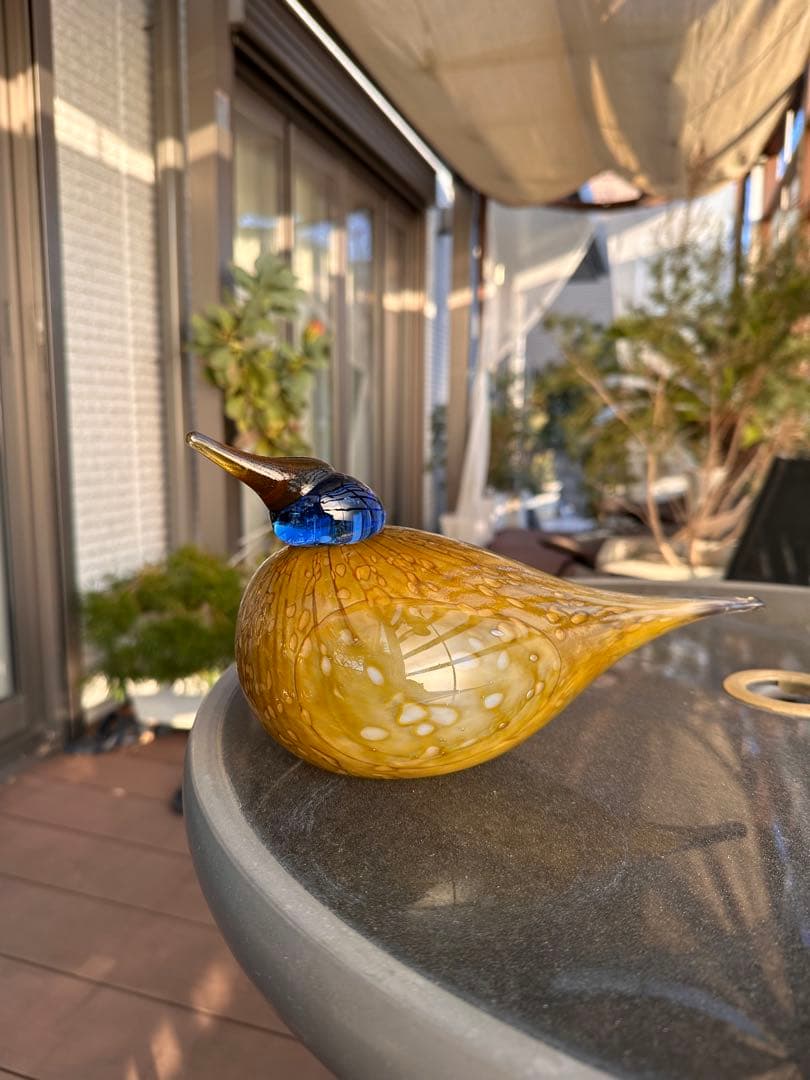 イッタラ　オイバトイッカ / Dotterel