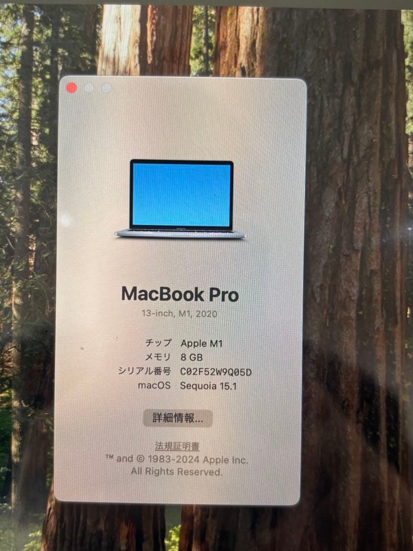 MacBook Pro 13inch (チップApple M1/メモリ8GB)