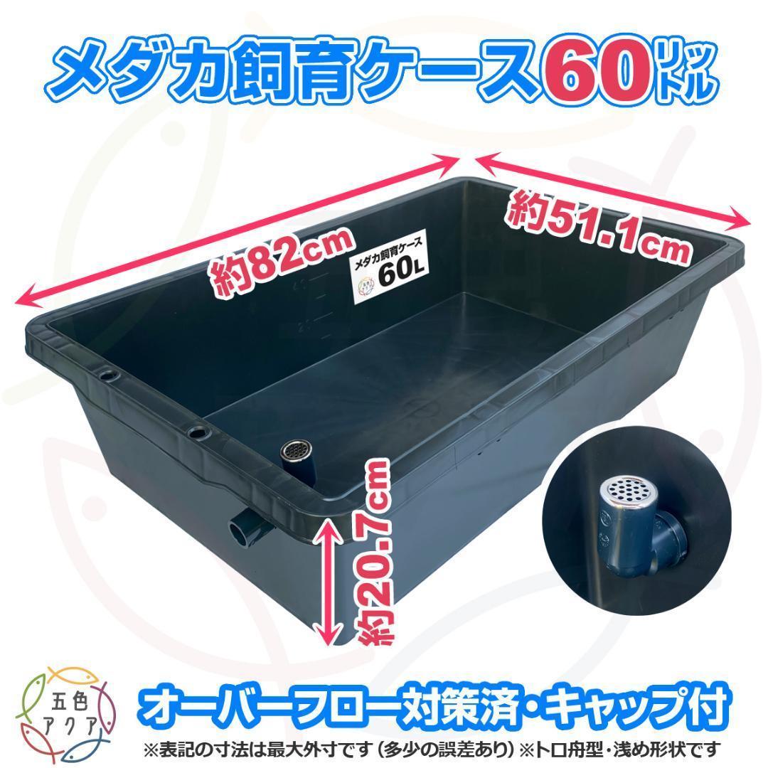 メダカ飼育ケース 60㍑トロ舟x4個 オーバーフロー 金魚飼育容器 ビオトープ