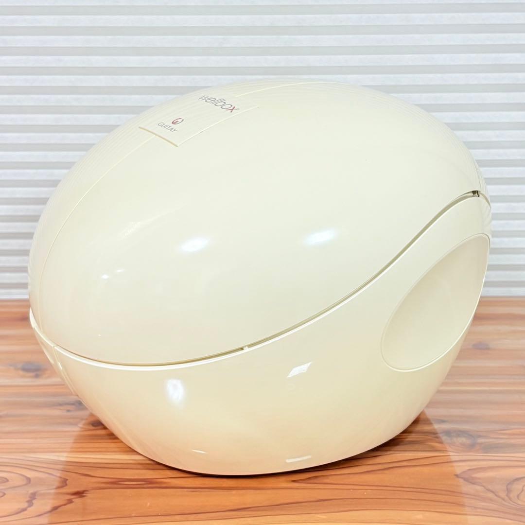 ウェルボックス エンダモロジー WELLBOX 痩身マシン エステ セルライト