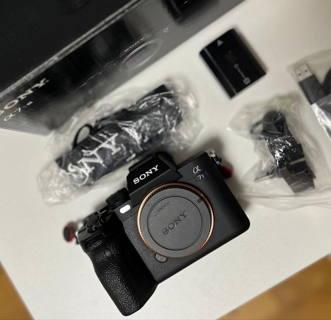 【美品】SONY α7S III ILCE-7SM3 リグ付き