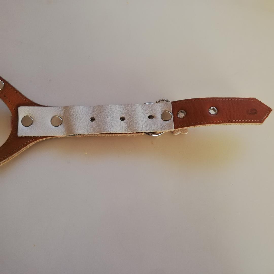 バディーベルト パールホワイト　保護ライナー付　6号