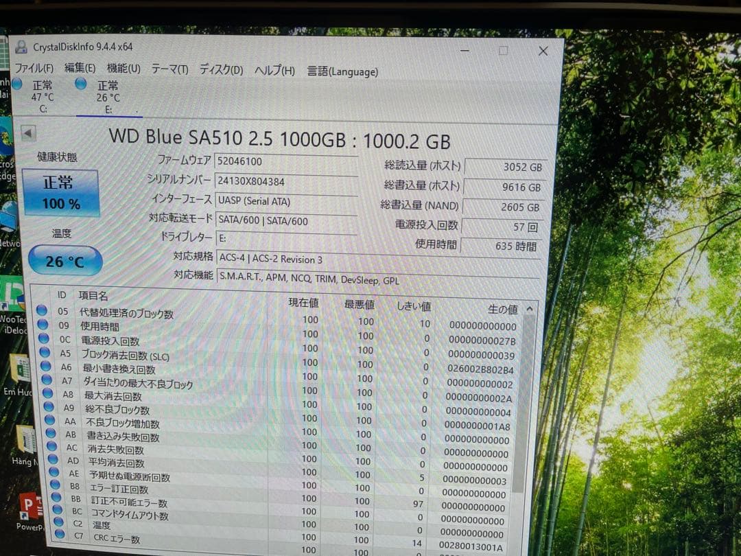 WD Blue SA510 1TB SATA SSD 2.5インチ 2024年