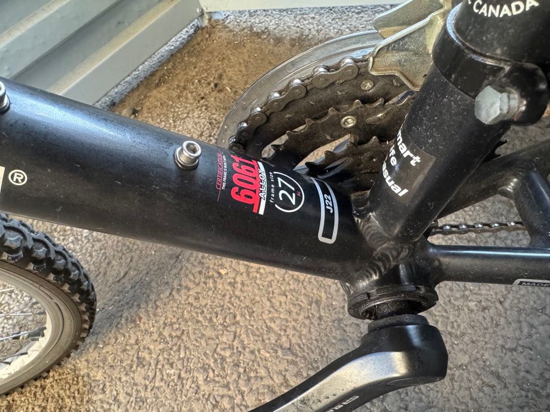 LOUIS GARNEAU 22インチ子供用自転車（手渡し希望）