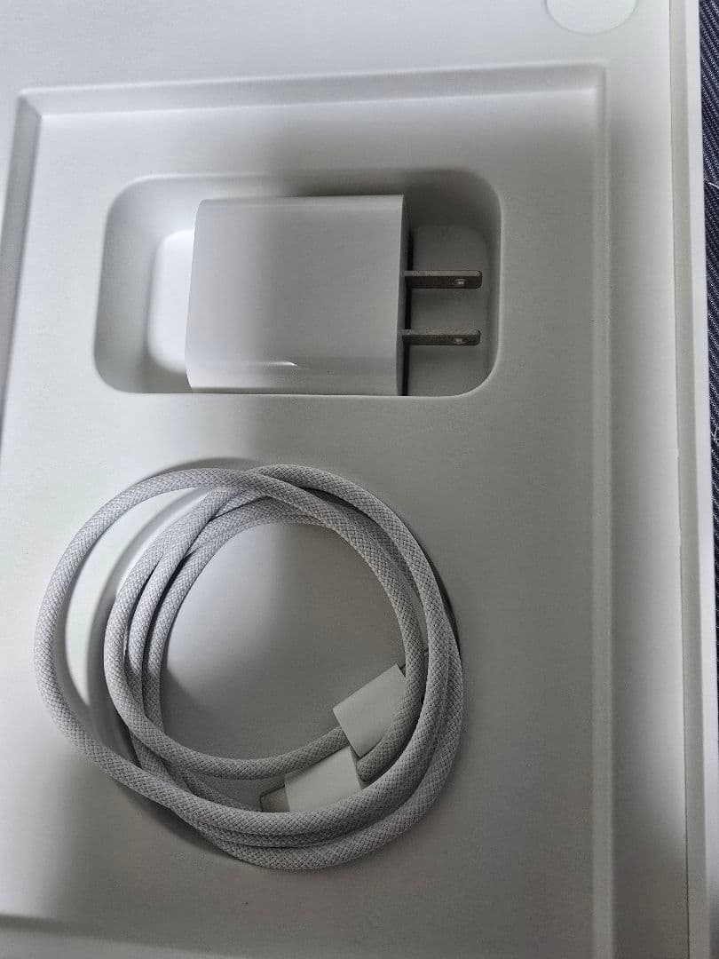 お*こ様 Apple iPad mini ブルー Apple Pencil付き