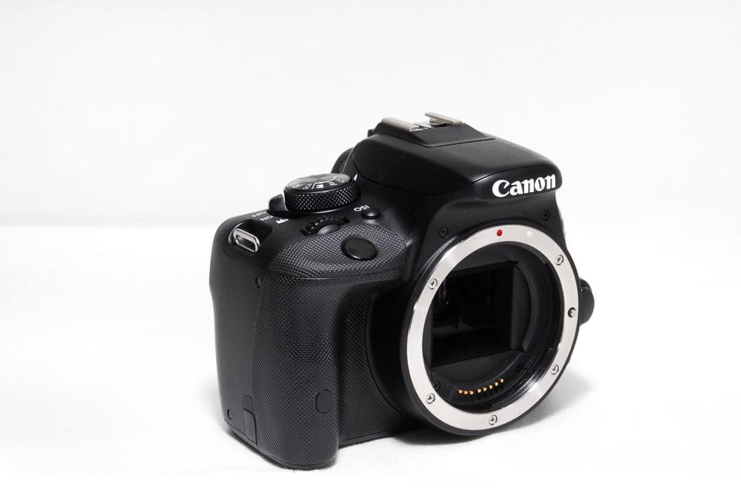 Canon EOS Kiss X7 一眼レフ 望遠 標準レンズセット 初心者OK