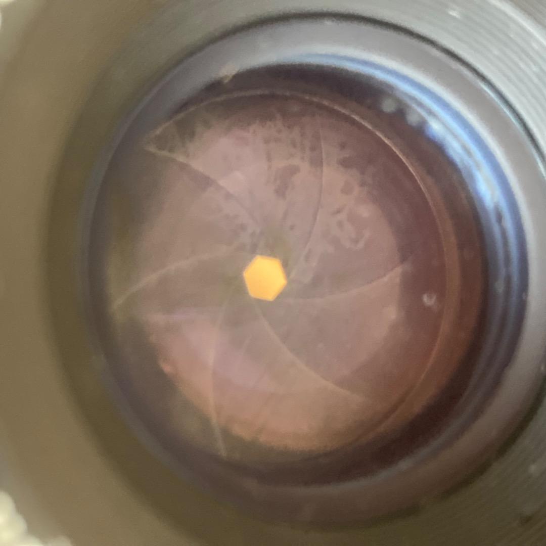 え*ん様 動作確認済み Nikon F3 ボディ 一眼レフ カメラ 純正レザーケ