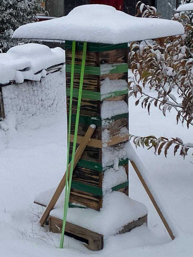日本蜜蜂重箱式巣箱　待ち箱　捕獲飼育用