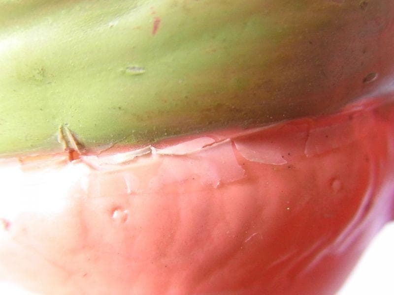 鉄棒運動 戦前製 セルロイド ゼンマイ おもちゃ 箱入り 昭和レトロ 日本製