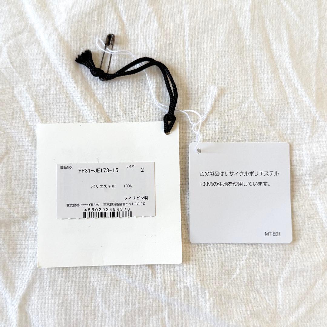 【限定値下げ】Homme Plisse Issey miyake Flip