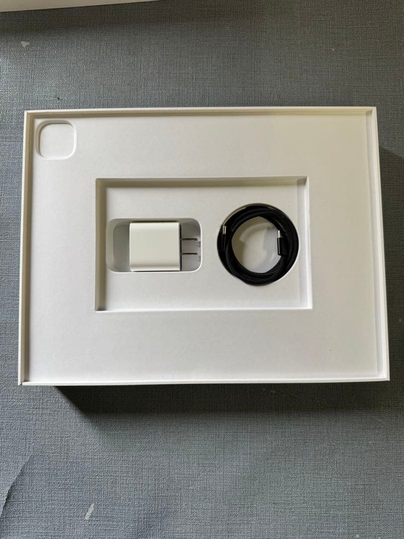 ☆iPad Pro (4M) 13インチ 256GB Wi-Fiモデル