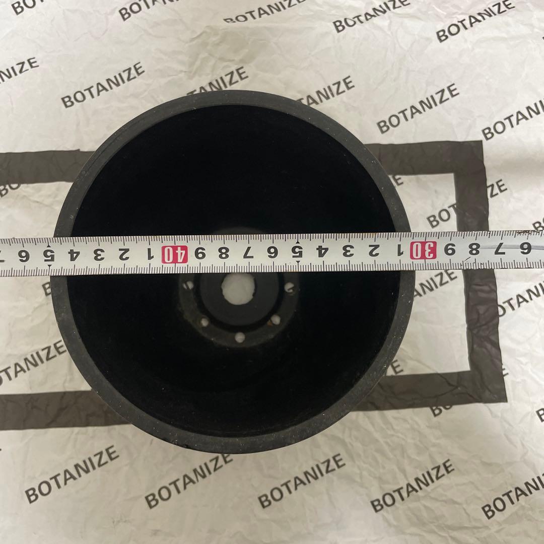 カリフォルニア工務店 × BOTANIE ボタナイズ