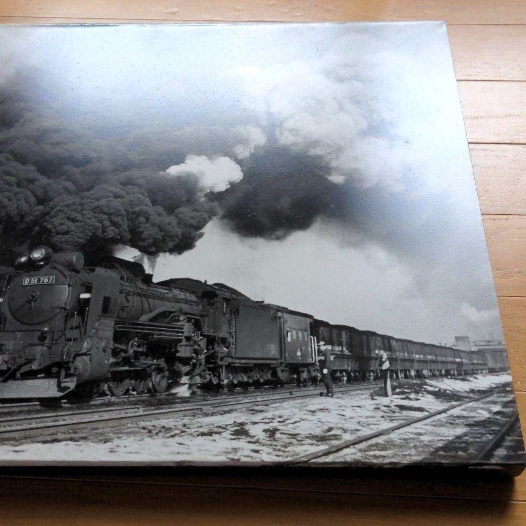 レア汽車？D511160D51767ツーショット白黒