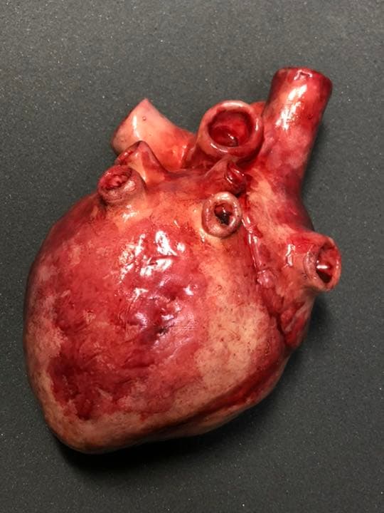 リアル　心臓