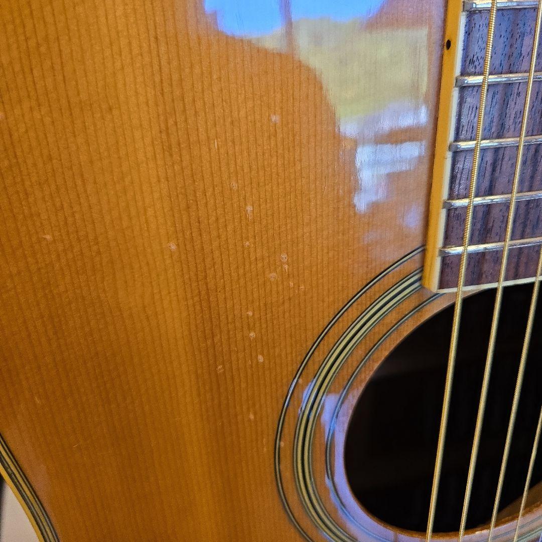 MORRIS MD-506 アコースティックギター