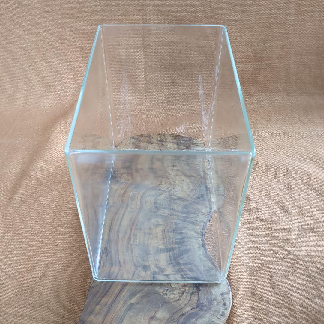 【高品質・透明度の高い　オーダーメイドのスペリア水槽　No.2 】