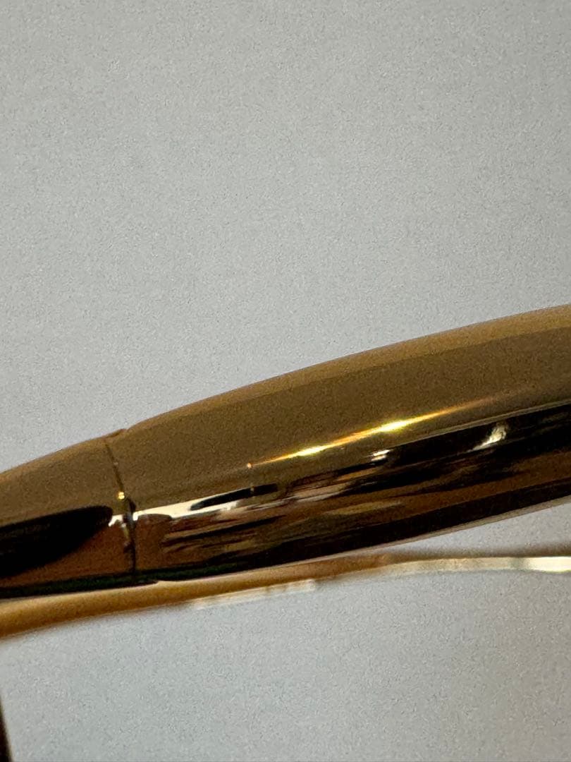 BOTTEGA VENETA/ボッテガ ヴェネタ SARDINE サングラス