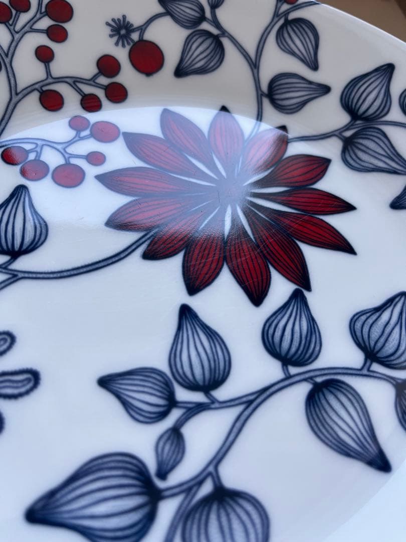 ARABIA runo フロストベリー オーバル 25cm 2枚セット