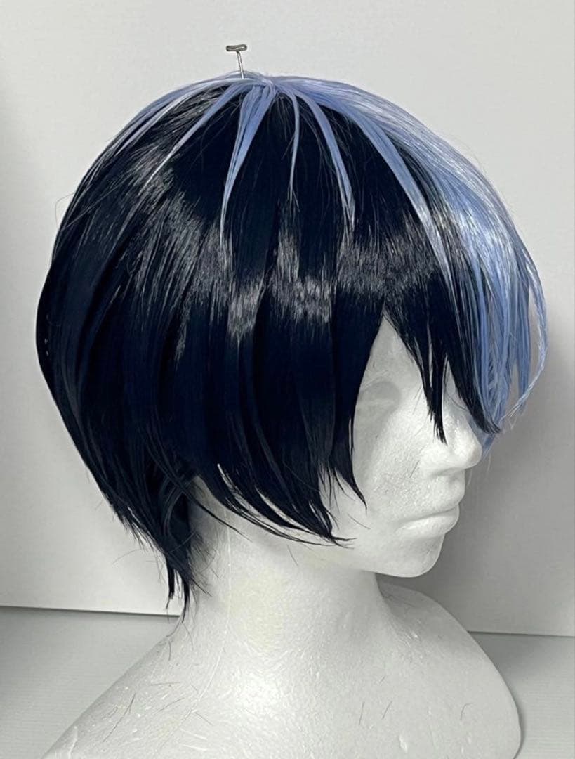 青柳冬弥 セット済みウィッグ