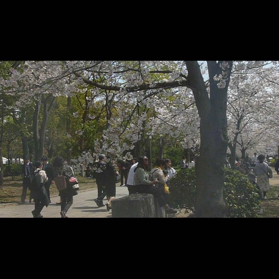 SONY ソニー Cyber-shot DSC-WX5 デジタルカメラ