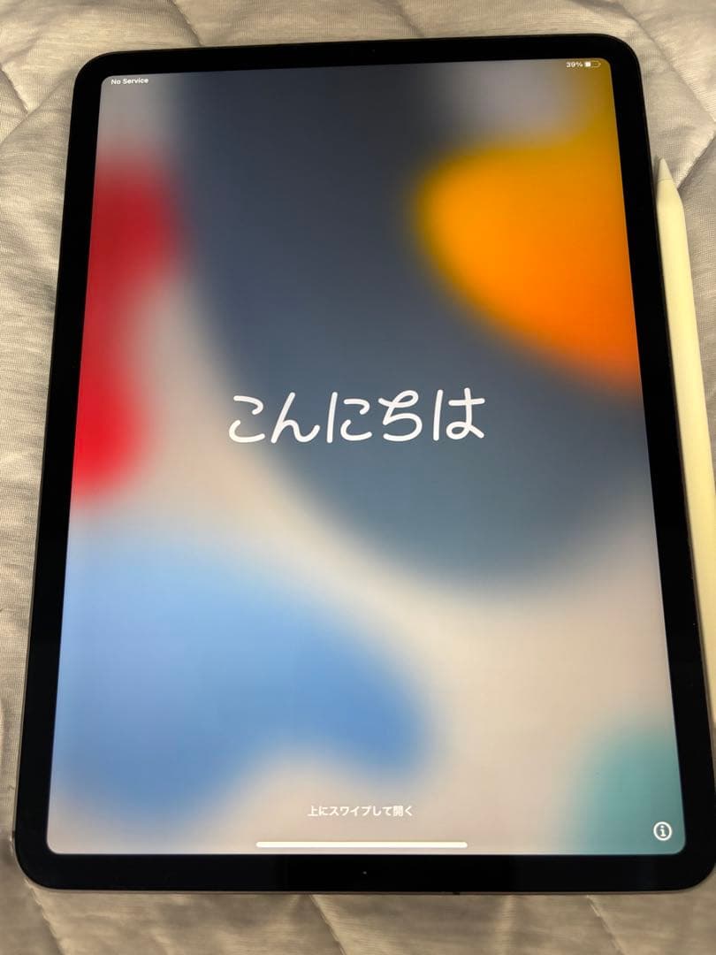 iPad pro11インチ(第2世代) 256GB Apple Pencil付き