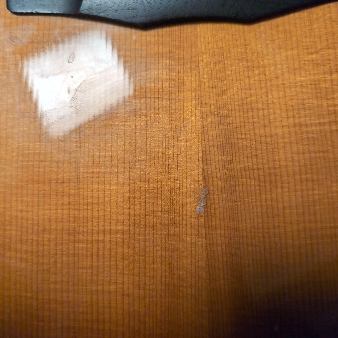 Morris エレアコ アコースティックギター M-51GT